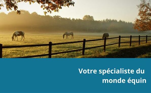Monde équin